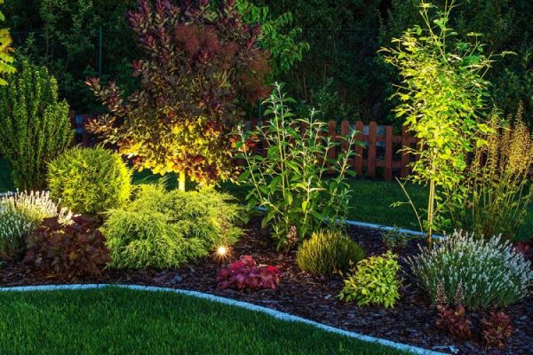 come-illuminare-le-piante-in-giardino-e-valorizzarle-it-000